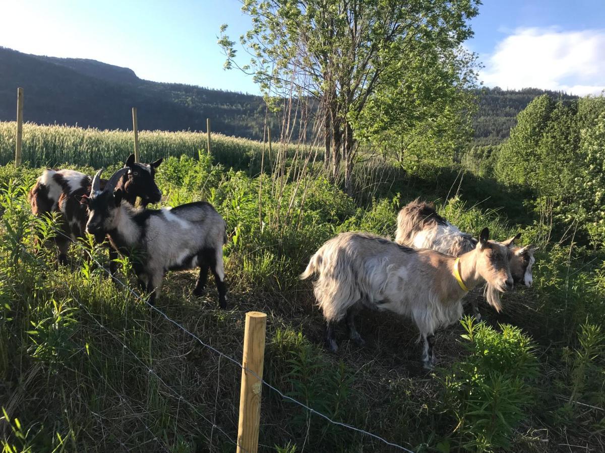 Gardsturisme Sonstebo Hotell Bo (Telemark) Exteriör bild